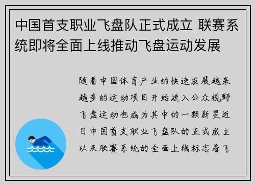 中国首支职业飞盘队正式成立 联赛系统即将全面上线推动飞盘运动发展
