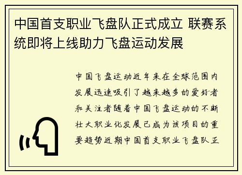 中国首支职业飞盘队正式成立 联赛系统即将上线助力飞盘运动发展